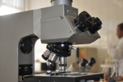 ECAE0028